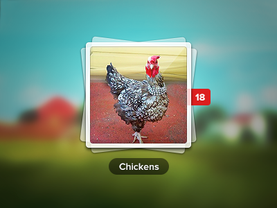 Chickens album chicken photo proxima nova