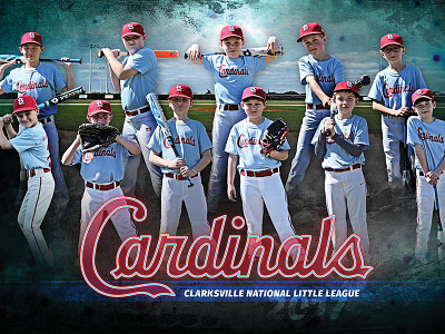 Little League Baseball Poster baseball cardinals little league poster