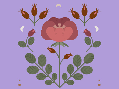 Botanical botanical design floralpattern folk geometrical illustration midcentury vector vintagecolor