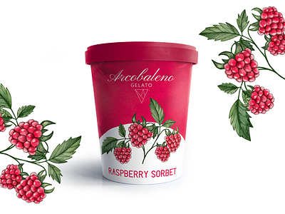 Raspberry Sorbet bucket design fruits gelato ice cream illustration italian packaging raspberries raspberry sorbet