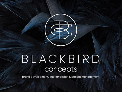 Blackbird Concepts branding design logo