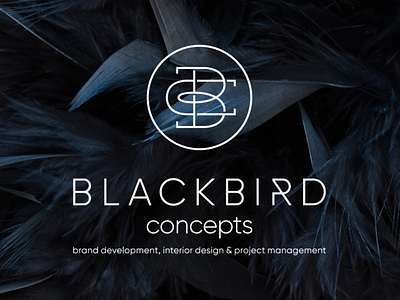 Blackbird Concepts