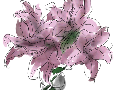 Lillies illustration
