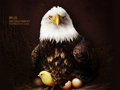 This is where you sit here？ brooding eagle eggs graphic recruitment ui
