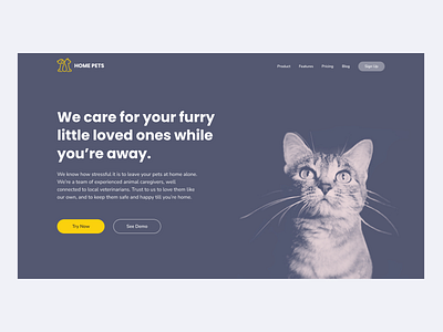 HOME PETS WEBSITE cat design figma pets pets website ui ux webdesign website