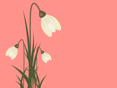 Snowdrops background floral flower illustrator nature outdoors pattern pink plants purple vector