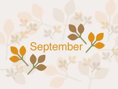 1st September