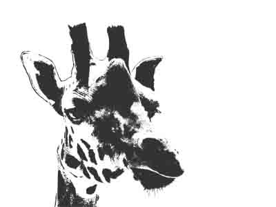 Stencil Giraffe black and white design effects graphic photoshop stencil