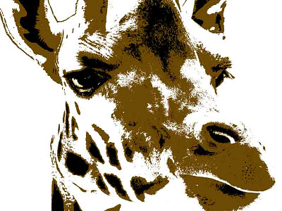 Close Up Giraffe animal design editing giraffe graphic highlights photoshop pop art shading stencil zoo