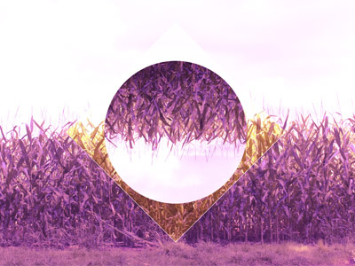 Polyscape crops abstract creative crops design magenta photo manipulation photography pink polyscape reflect yellow