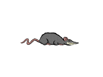 🐀