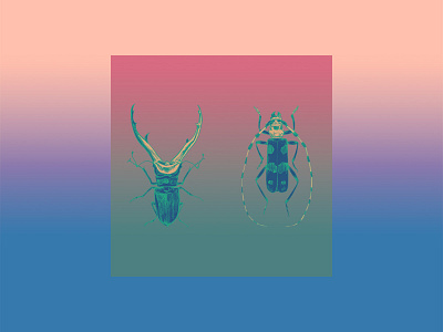 Bugs Color scheme bugs color palette color scheme color study colorful design gradient color illustration pastel print design