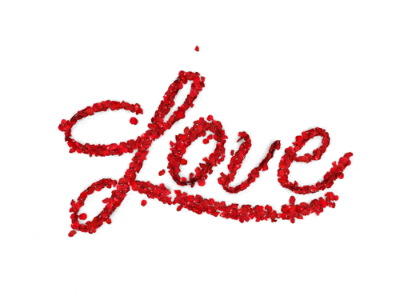 Falling in Love. animated gif animation gif heart love mograph motion graphics red rose type typography valentines day