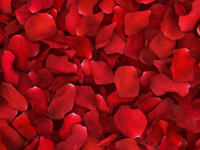 Here comes February 14th. animated gif animation c4d gif love marriage red romance rose petals roses valentines valentines day