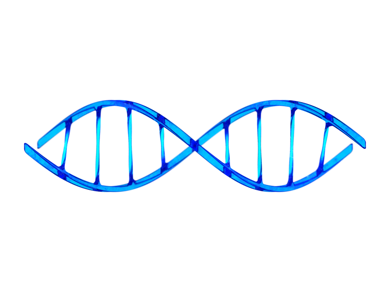 DNA Strand animated gif chromosome dna dna molecule dna strand double helix gene gif gif animation health healthcare helix loop rna seamless stem cell strand