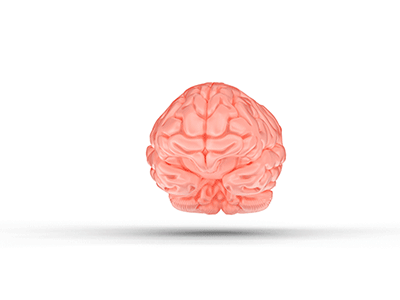Mind-Melt animated gif brain c4d endless genius gif gif animation human brian i have an idea idea iq knowledge loop mental mind and body science seamless smart think thinking