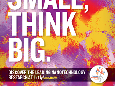 Nanotechnology Science, Work Small, Think Big