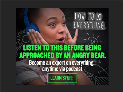 NPR Podcast Show Ads (How to Do Everything) advertising art direction digital how to do everything interactive npr podcast web ad