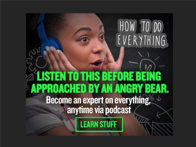 NPR Podcast Show Ads (How to Do Everything)