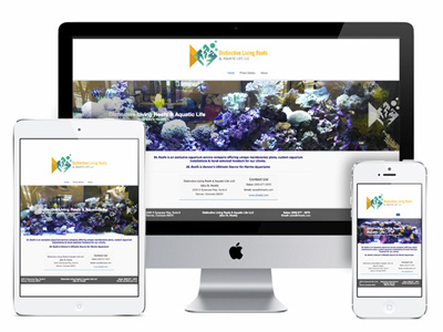 DL Reefs logo and website design