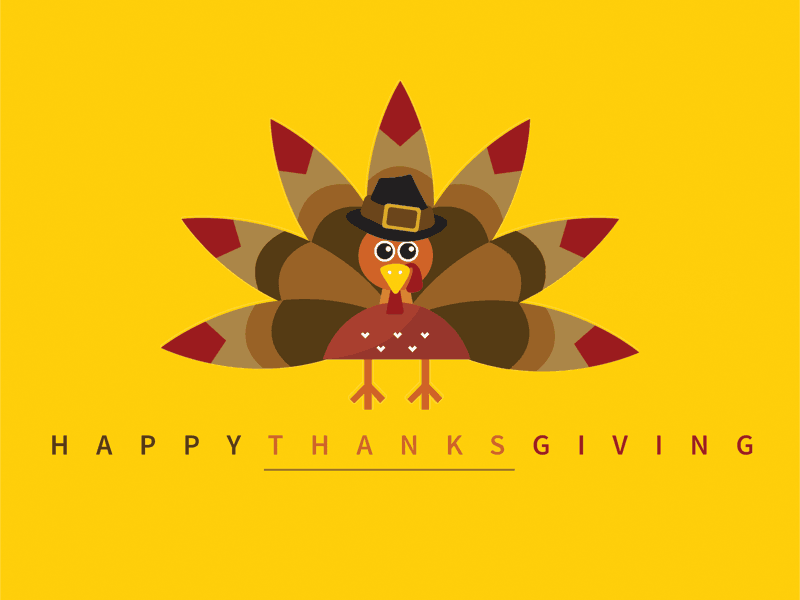 Happy Thanksgiving 2d adobe animation graphic design illustrator minimalist motion graphics thanksgiving turkey vector