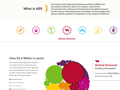 Infographic portion