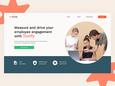 UI/UX Testfly branding design ui ux web design