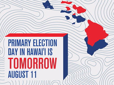 Hawaii Primary Election Day branding design illustration political campaign tulsi gabbard typography