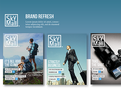 SkyMall Redesign cover graphic magazine print skymall