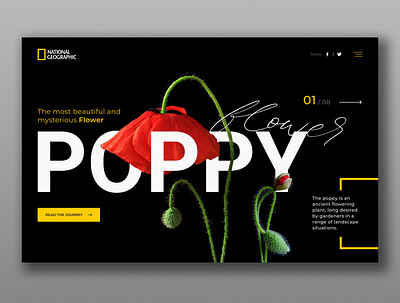 National Geographic branding design national geographic nature ui ux web web design website