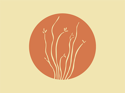 Ocotillo cactus desert icon illo illustration logo mark