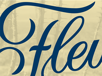 Fleurish branding handlettering logo typography vector