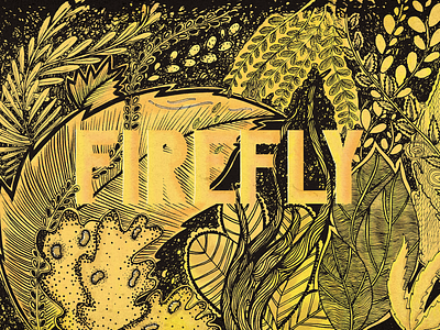 Firefly design illustration
