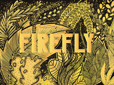 Firefly