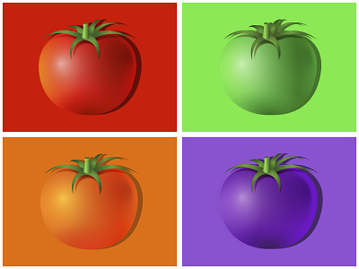 Tomato color color colorful design flat tomato tomatoe vector vegetable vegetarian