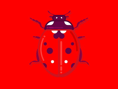 Ladybug cute design flat illustration ladybug minimal vector vector art vector illustration vectorart