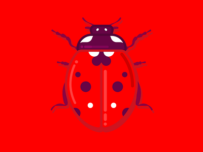 Ladybug