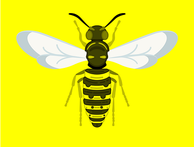 Wasp cute flat illustration vector vector illustration vectorart wasp