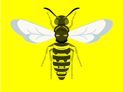 Wasp