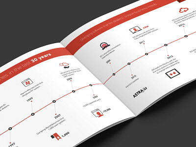 IDS Booklet brand broshure cmyk design flat graphic grey icon pantone print red white