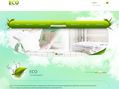 Eco Cleaning Website 5