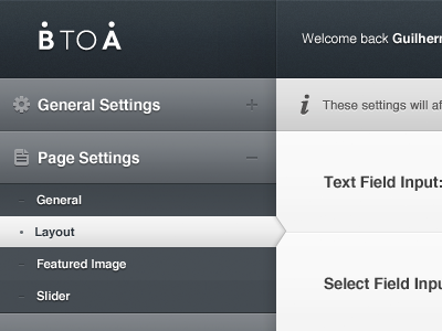 BTOA Wordpress Custom Admin Panel