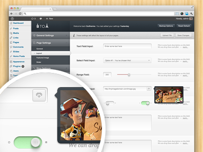 BTOA Wordpress Custom Admin Panel FULL