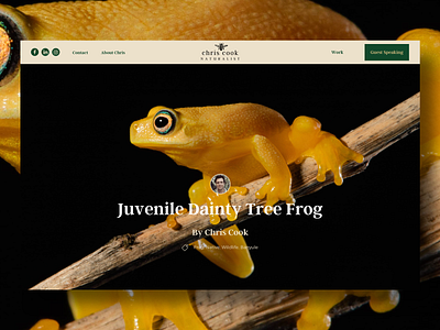 Web Design - Chris Cook Naturalist australian web designer design photography ui web design web designer website design