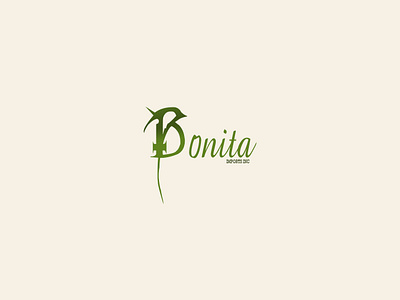 Bonita brand branding character clean design flat graphic design icon illustration illustrator lettering logo type typography ui vector web website