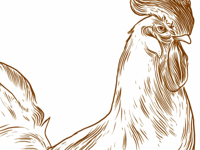 Etched style Chicken