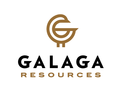 Galaga Resources design g goose logo