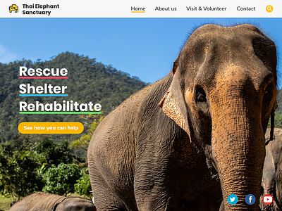 Website concept for a non-profit elephant sanctuary in Thailand concept design dailyuichallenge design elephant flat non profit sanctuary thai elephant thailand uidesign user interface web design website