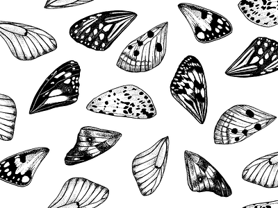 butterfly wings pattern artwork black white butterfly dotwork graphic illustration ink linework motley ornament pattern texture wings
