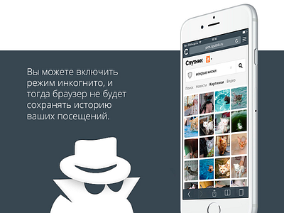 Browser Sputnik — 2016 app browser interface ios iphone safari sputnik ui ux web